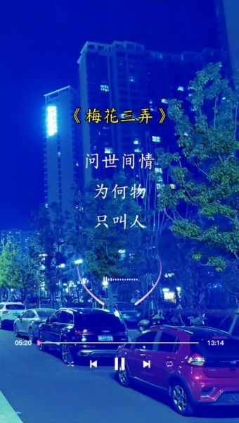 梅花三弄表达了什么情感_梅花三弄为何如此动人