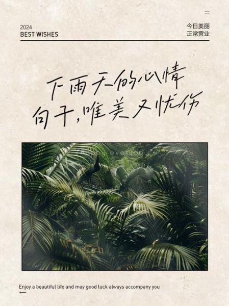 雨天如何表达情绪_雨天心情低落怎么办