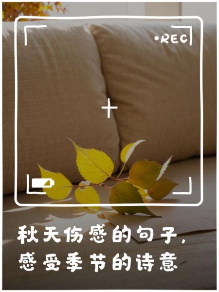 秋天景色为什么让人伤感_如何描写秋景表达情感