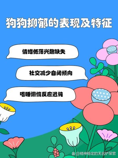 动物为什么会抑郁_如何识别宠物情绪异常