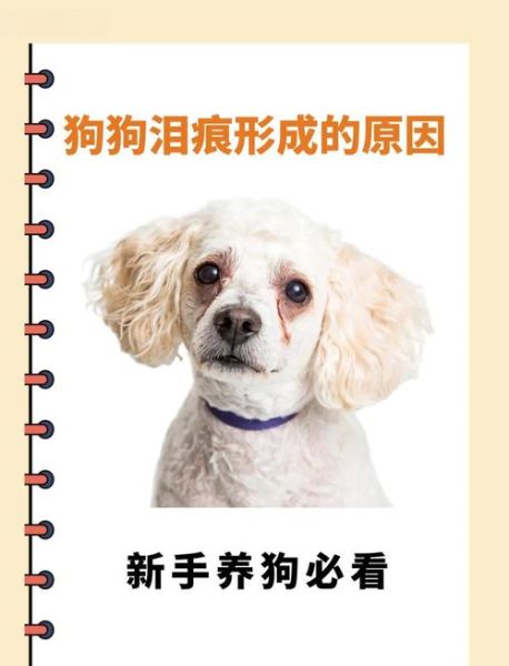 泪痕怎么消除_泪痕重是什么原因