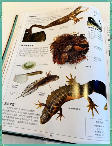 动物百科_适合小学生阅读吗