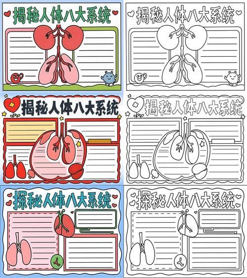 人体结构图怎么画_生物人体百科全书读后感