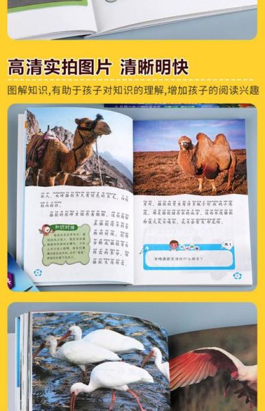 中国少年百科全书适合几岁读_如何高效阅读