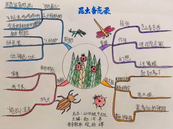 少儿百科思维导图怎么做_怎样用思维导图读书