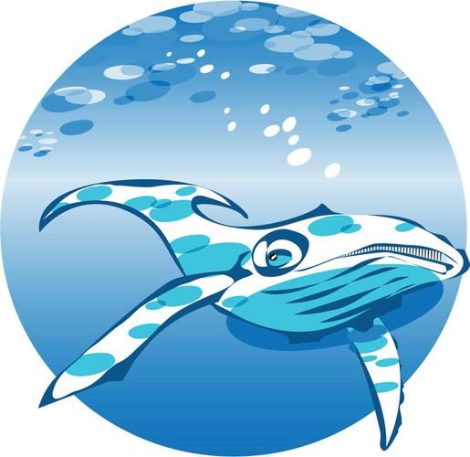 鲸表达什么情感_鲸的哭泣代表什么