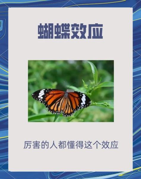 蝴蝶效应是什么_如何改变人生轨迹