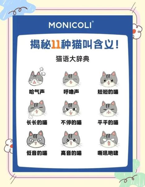 猫为什么一直叫_猫叫代表什么情绪