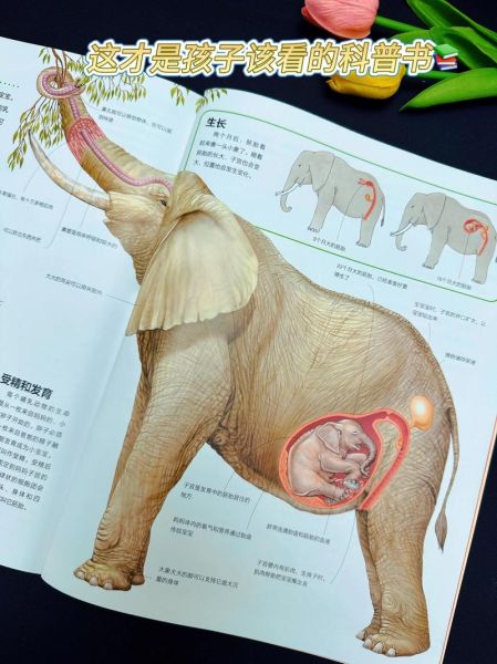 百科全书算不算名著_适合孩子阅读吗