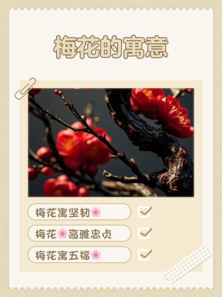 梅花象征什么情感_梅花表达思念吗