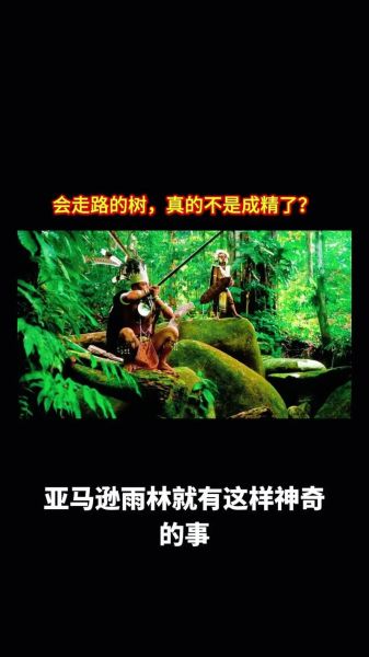 会走路的树真的存在吗_会走路的树如何移动