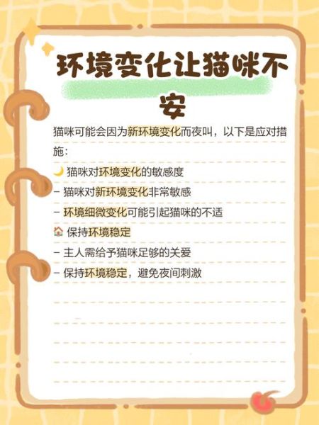 野猫为什么半夜叫_野猫叫声代表什么