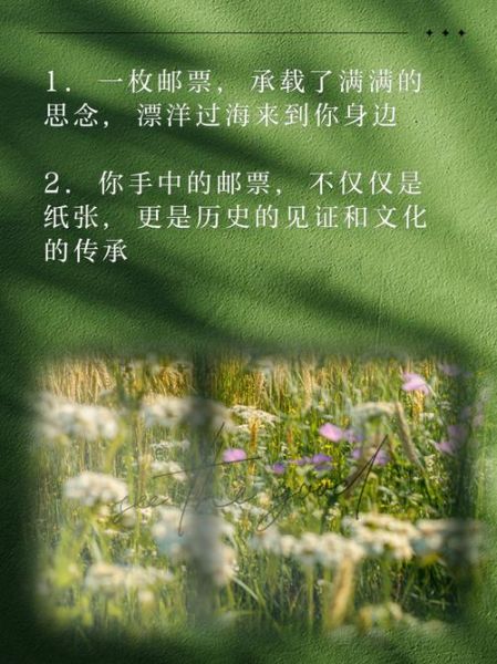 邮票歌词表达了什么情感_如何理解邮票里的思念