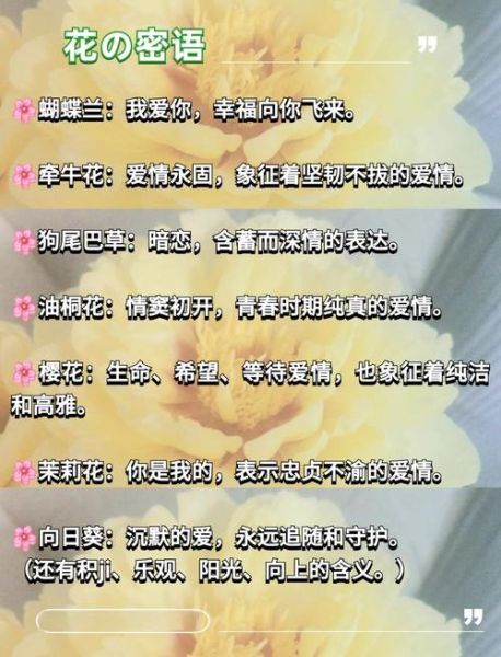 花语代表什么情感_如何选花表达心意