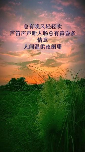 芦笛表达情感_如何用芦笛吹出思念