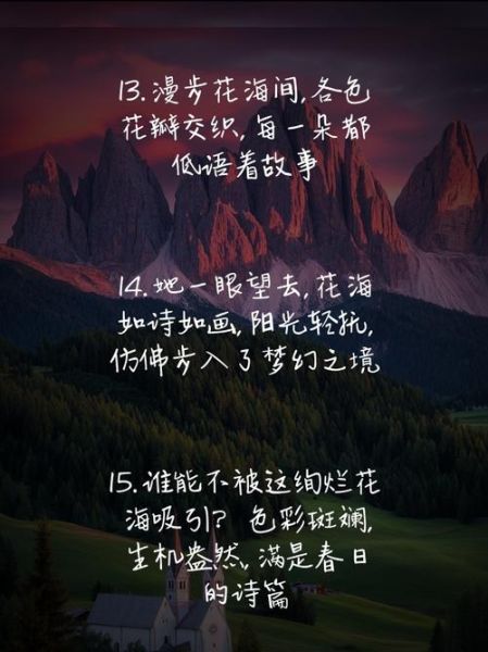 花海表达了什么情感_花海歌词含义解析