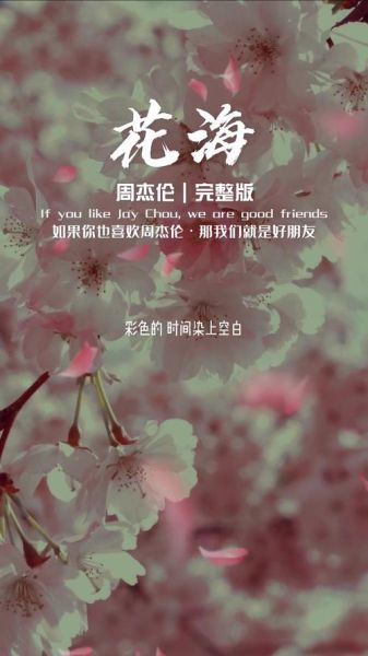 花海表达了什么情感_花海歌词含义解析