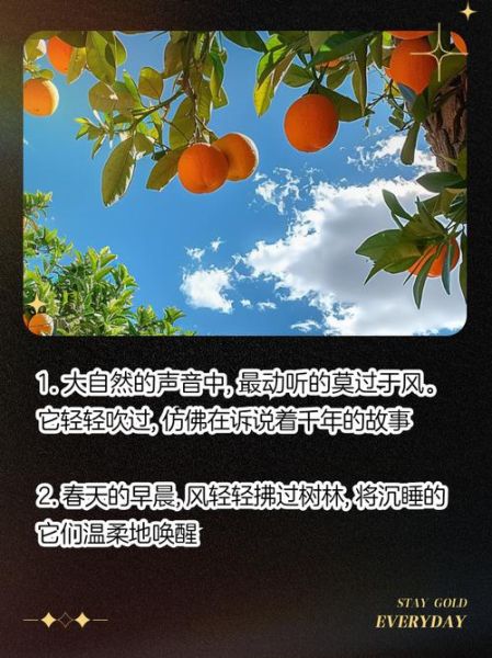 风的声音怎么形容_风代表什么情感