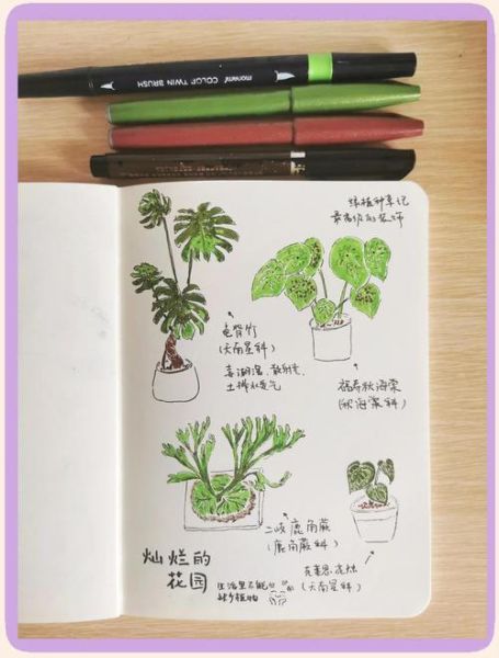 植物百科全书读书笔记_适合初学者的植物养护技巧