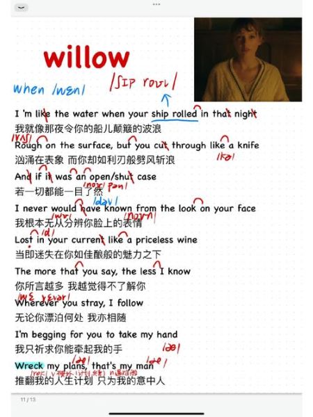 willow表达的情感是什么_willow歌词深层含义