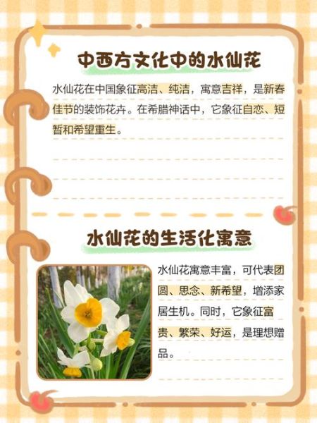 水仙花语是什么_水仙代表什么情感