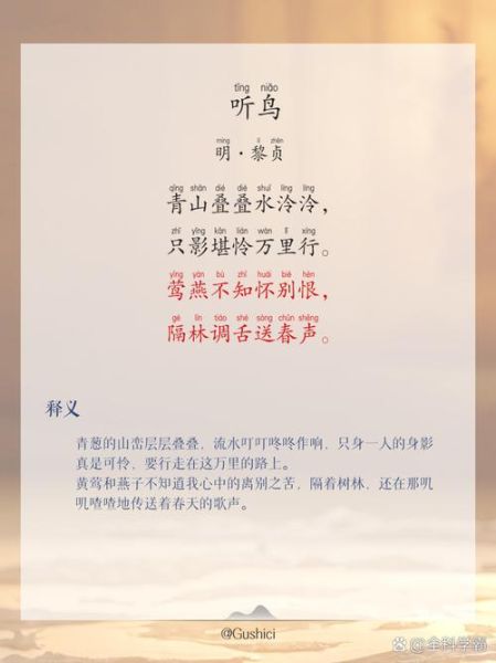 鸟之诗表达了什么情感_为什么听鸟之诗会哭