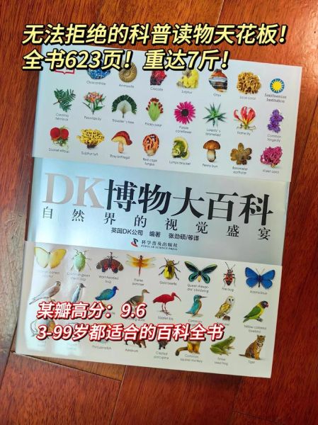 DK博物大百科适合几岁孩子_怎么读最有效