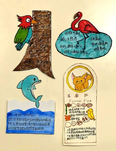 动物百科读书笔记_如何高效做动物知识卡片