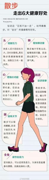 公园散步能缓解焦虑吗_如何表达情感