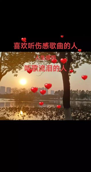 音乐能表达情感吗_音乐无法表达情感