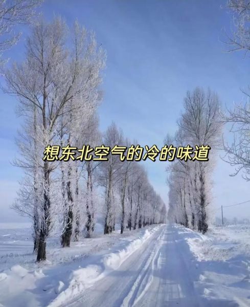 冬天表达什么情感_冬天为什么让人想家