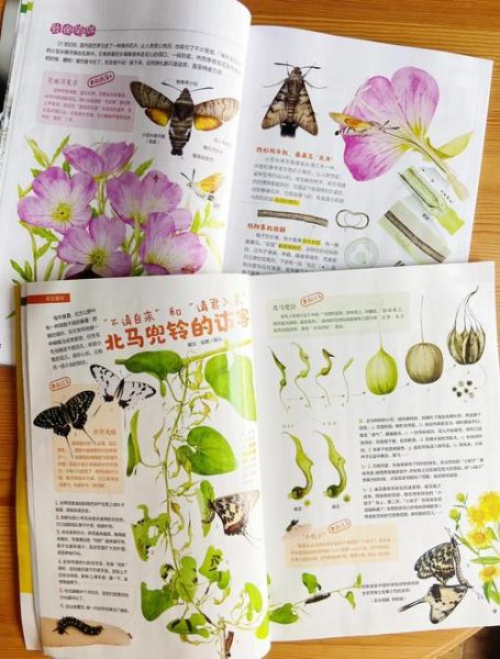 博物大百科适合几岁孩子_如何高效阅读