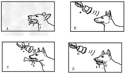 如何建立条件反射_条件反射训练方法