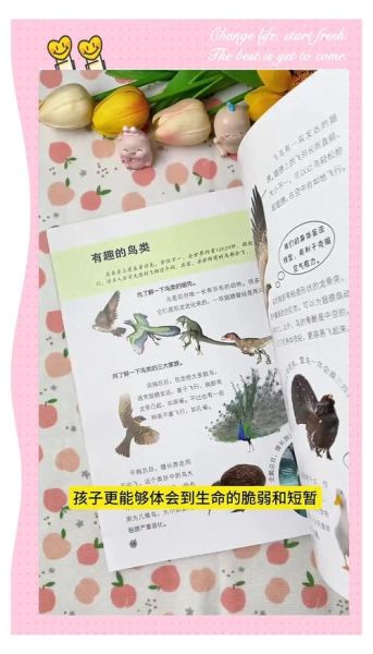 昆虫小百科有声伴读书怎么样_适合几岁孩子