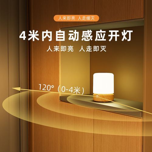 情感表达小夜灯怎么用_小夜灯怎么选