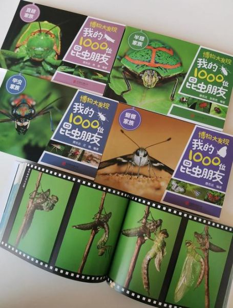 昆虫分类有哪些_如何高效阅读生物百科