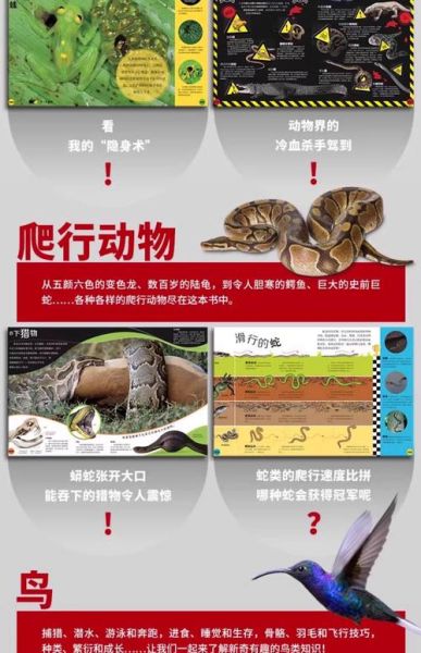 DK大百科适合几岁孩子读_如何挑选版本