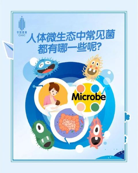 微生物有哪些种类_微生物对人类有害吗