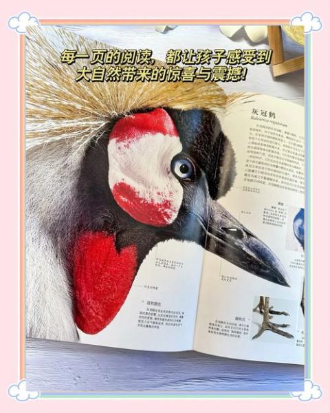 百科全书阅读书籍推荐_如何高效阅读百科全书