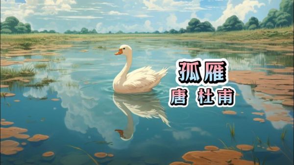 孤雁象征什么情感_孤雁为何总让人落泪