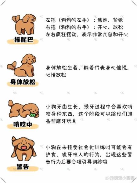 如何通过肢体语言判断情绪_怎样用动作表达情感