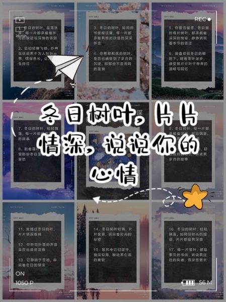 叶子怎么表达情感_叶子情感表达方式