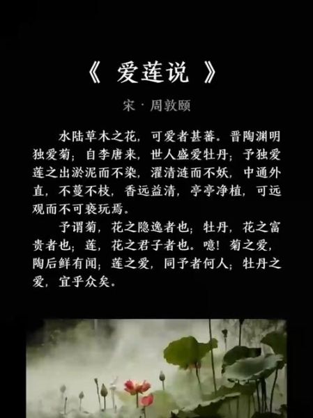 爱莲说的情感是什么_如何理解周敦颐的高洁情怀