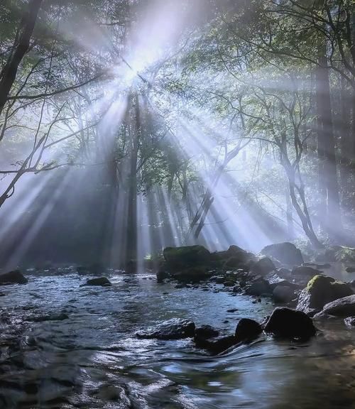 雾天怎么拍照好看_雾景摄影技巧