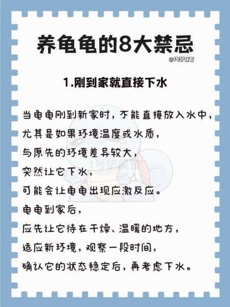 乌龟寿命有多长_乌龟怎么养才能活得久