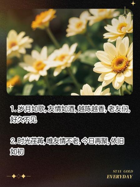 老友相聚怎么发朋友圈_老友相聚的句子简短