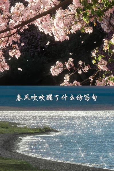 春风歌曲表达了什么情感_如何理解春风歌词意境