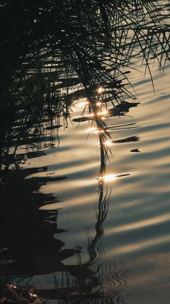 光影如何表达情感_摄影用光技巧有哪些