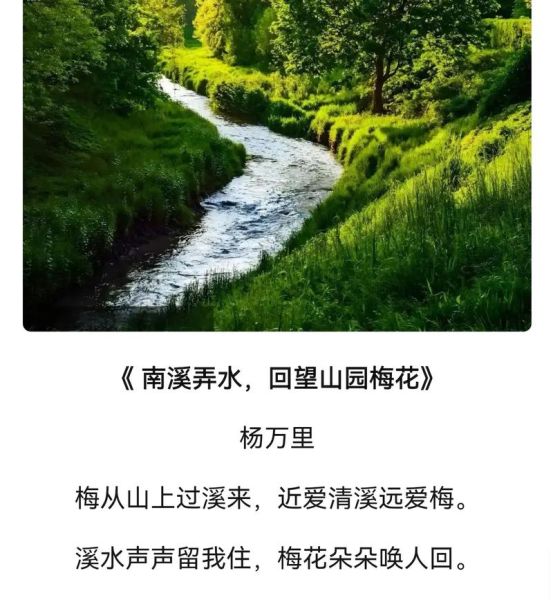 宋词情感表达有哪些_宋词如何打动人心