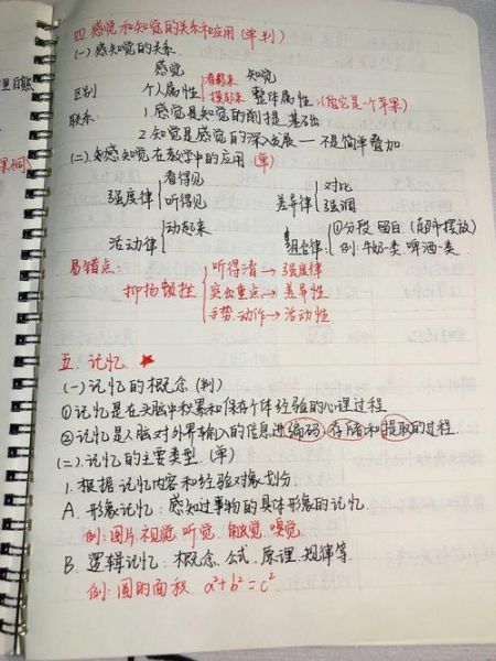 教育心理学笔记怎么记_如何高效复习